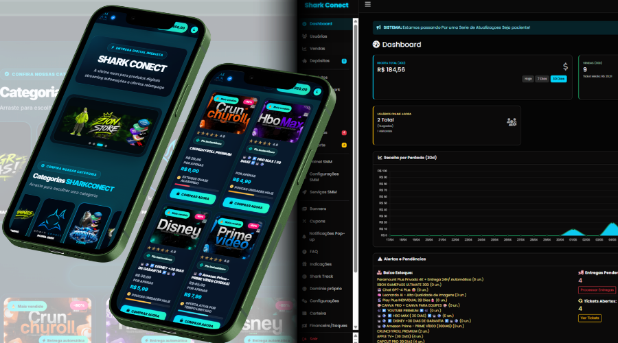 Screenshot de loja e painel usados como demonstração da plataforma
